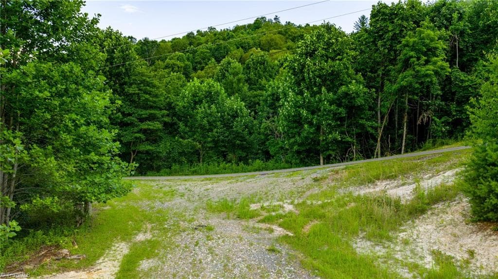 Unimproved Land at TBD 7 Big Laurel Road, Creston NC 28615, photo 5 of 20
