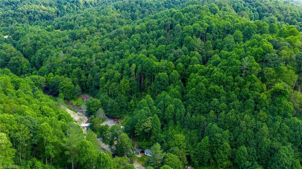 Unimproved Land at TBD 7 Big Laurel Road, Creston NC 28615, photo 14 of 20