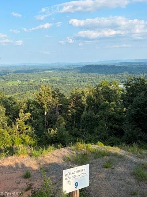 Lot #9 Widow Mountain Drive, McGrady NC 28649