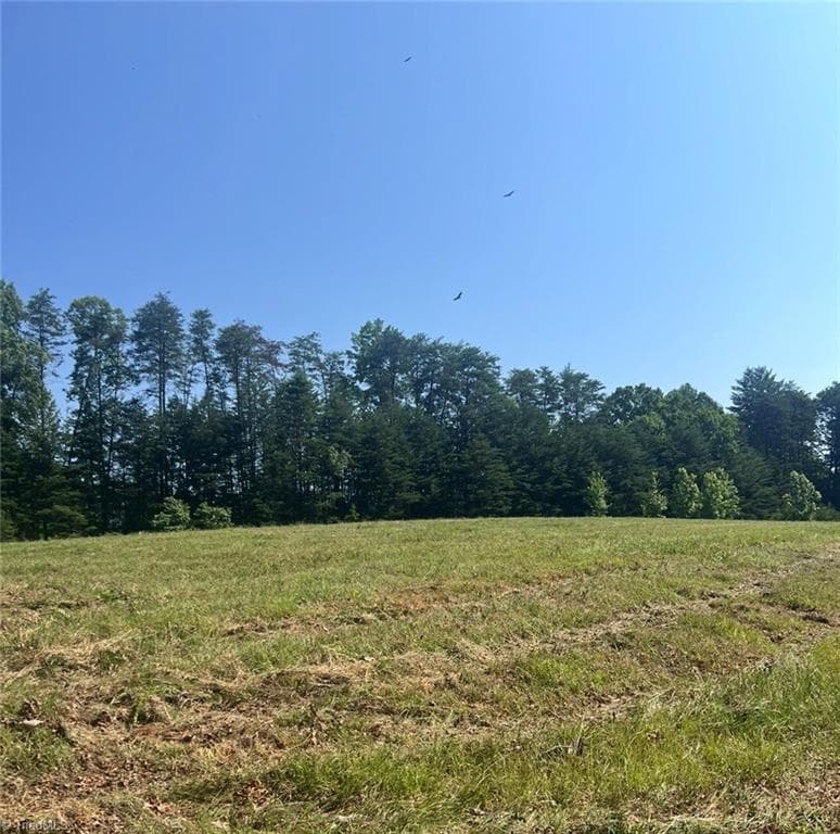 Unimproved Land at 0 Massey Creek Road, Madison NC 27025, photo 3 of 14