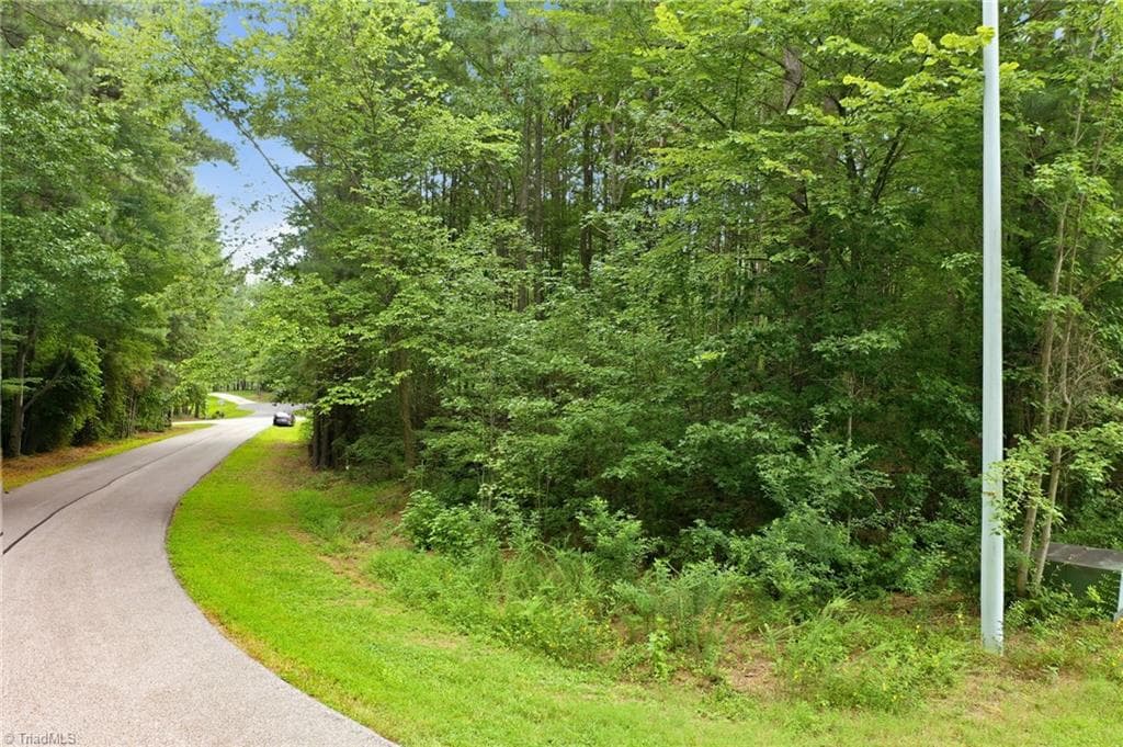 Single Family Residence at 0 Oak Tree Drive, Blanch NC 27212, photo 4 of 16