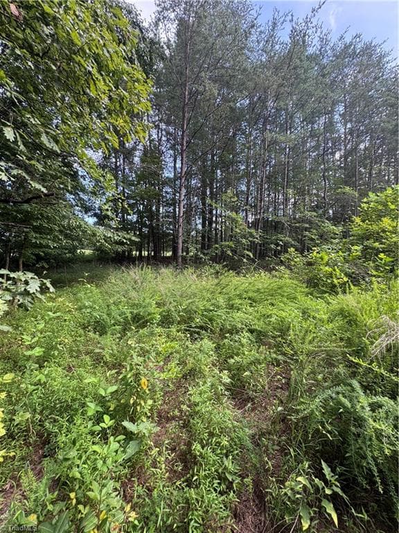 Agriculture at 0 Johnson Road, King NC 27021, King, photo 2 of 14