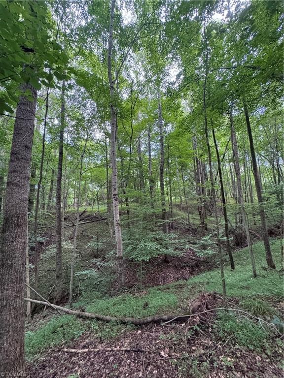 Agriculture at 0 Johnson Road, King NC 27021, King, photo 6 of 14