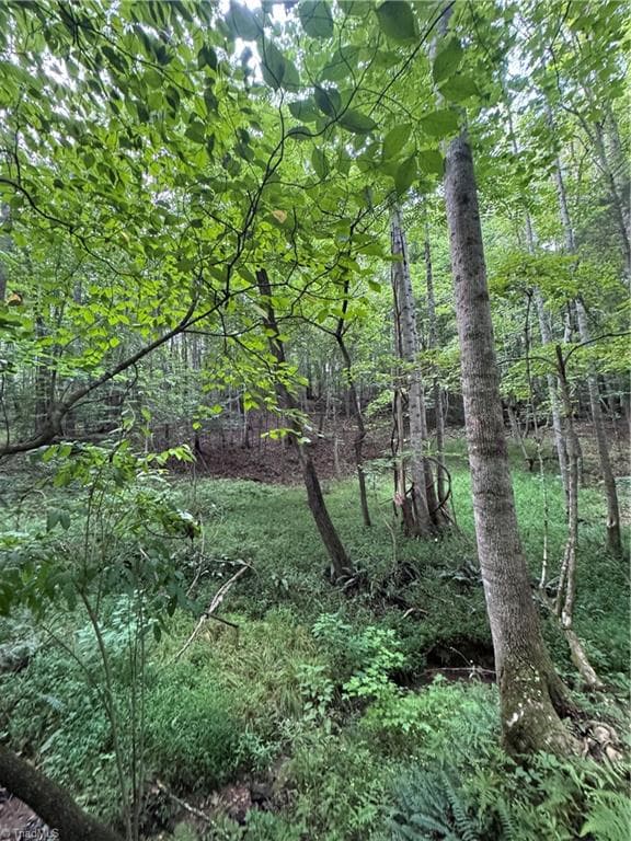 Agriculture at 0 Johnson Road, King NC 27021, King, photo 13 of 14