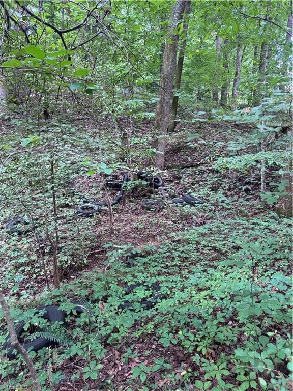 Agriculture at 0 Johnson Road, King NC 27021, King, photo 5 of 14