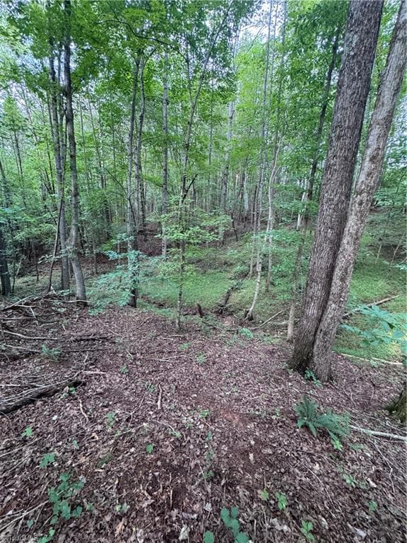 Agriculture at 0 Johnson Road, King NC 27021, King, photo 10 of 14