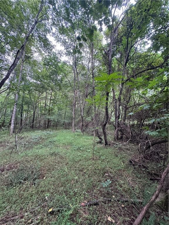 Agriculture at 0 Johnson Road, King NC 27021, King, photo 8 of 14