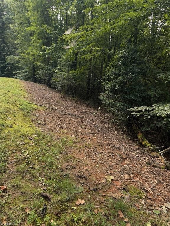 Unimproved Land at NA Poplar Drive, North Wilkesboro NC 28659, North Wilkesboro, photo 3 of 3