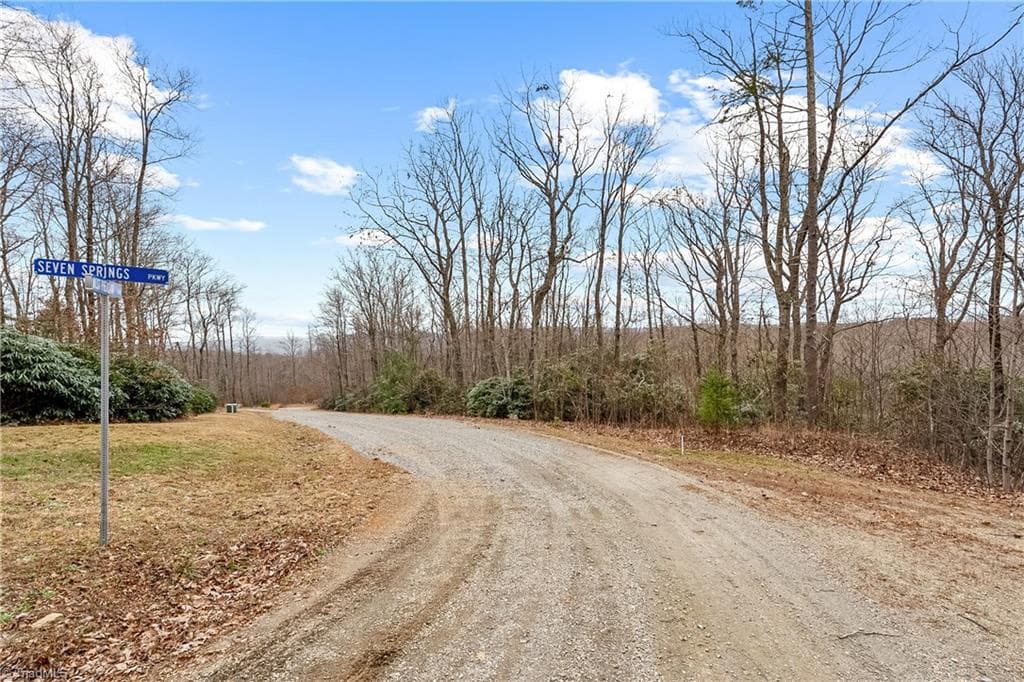 TBD W Pheasant Chase, Ararat VA 24053