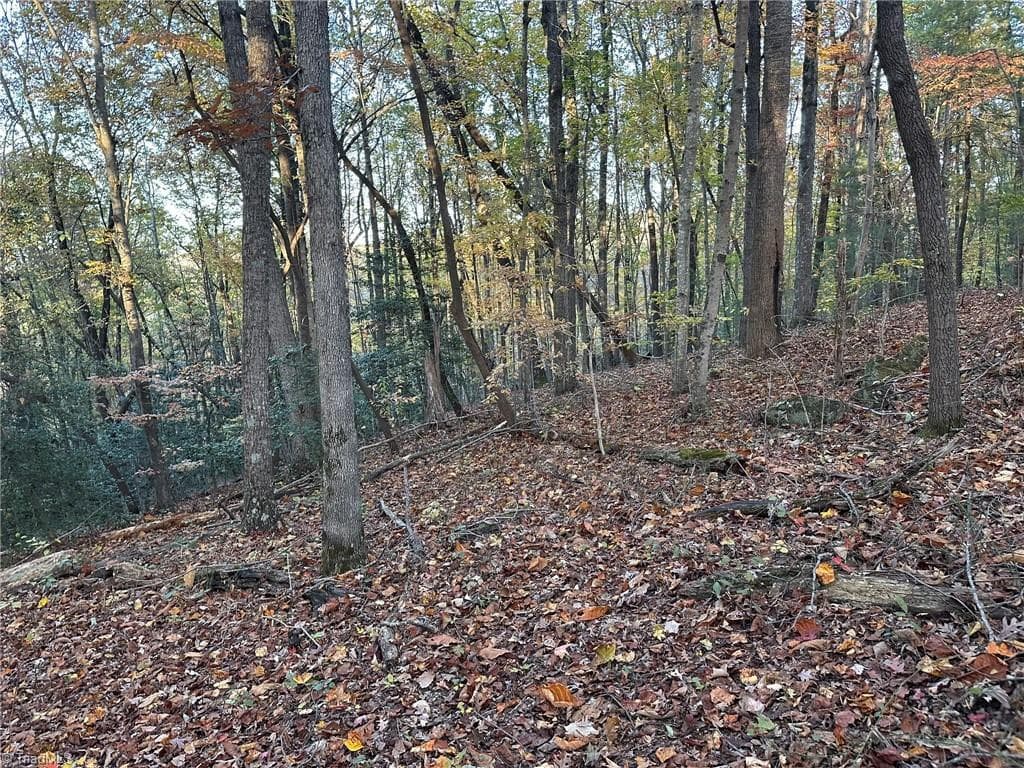 Unimproved Land at 00 Balls Mill Road, North Wilkesboro NC 28659, North Wilkesboro, photo 6 of 21
