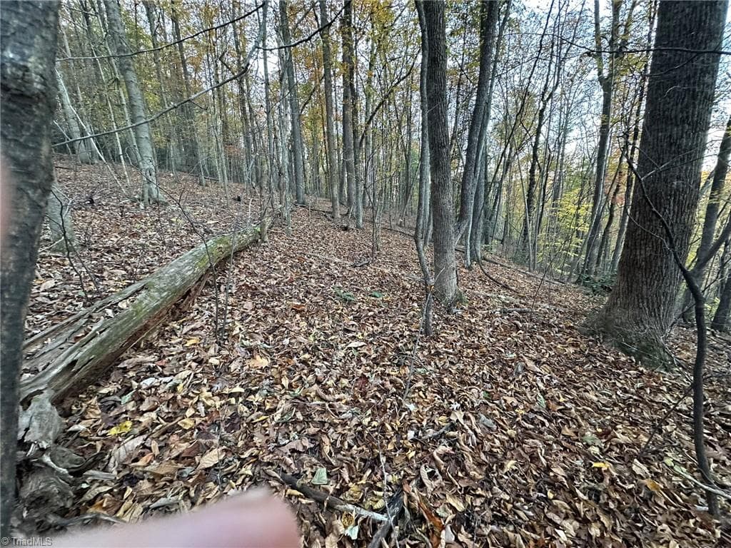 Unimproved Land at 00 Balls Mill Road, North Wilkesboro NC 28659, North Wilkesboro, photo 13 of 21