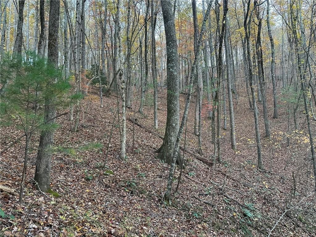Unimproved Land at 00 Balls Mill Road, North Wilkesboro NC 28659, North Wilkesboro, photo 17 of 21