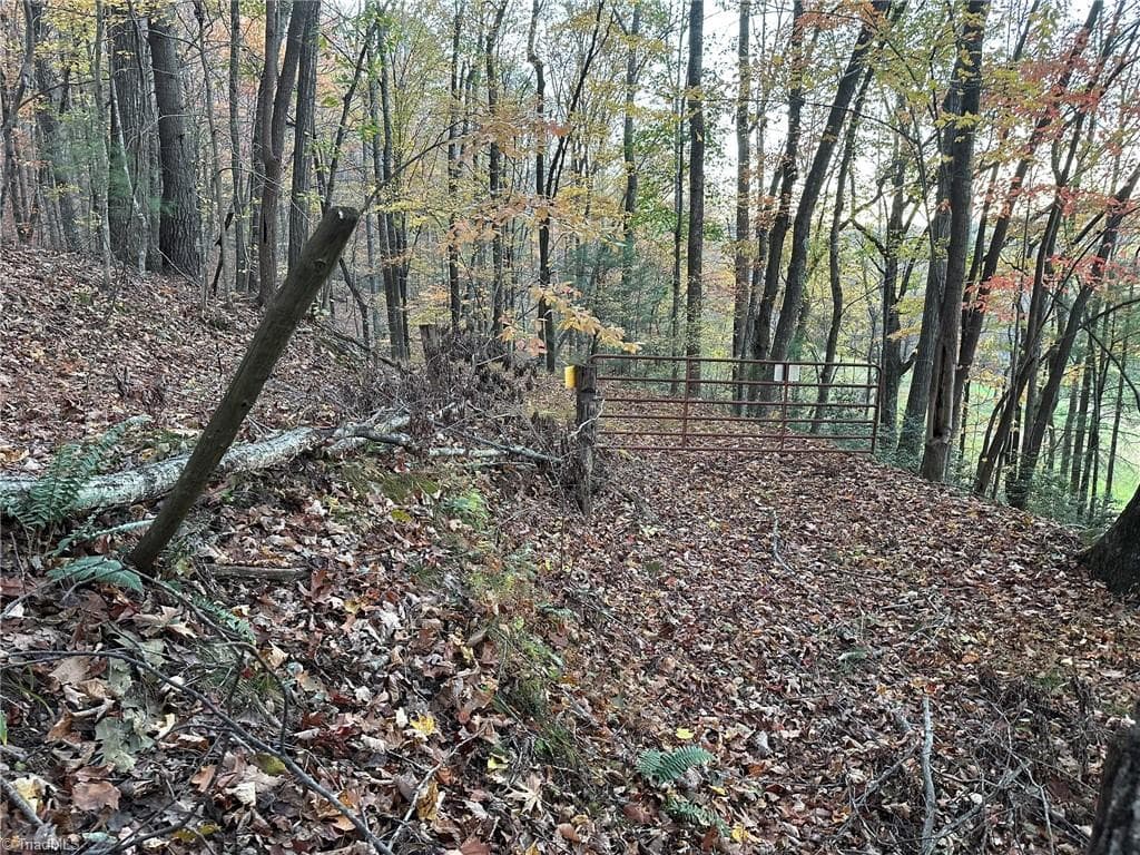 Unimproved Land at 00 Balls Mill Road, North Wilkesboro NC 28659, North Wilkesboro, photo 16 of 21