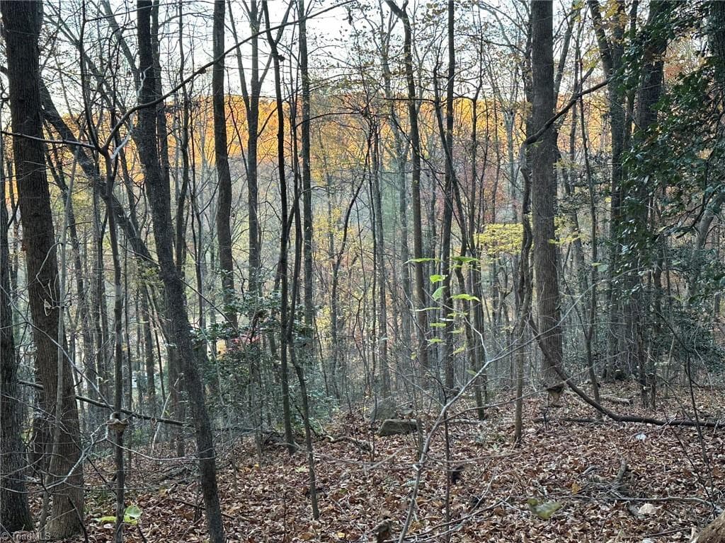 Unimproved Land at 00 Balls Mill Road, North Wilkesboro NC 28659, North Wilkesboro, photo 12 of 21