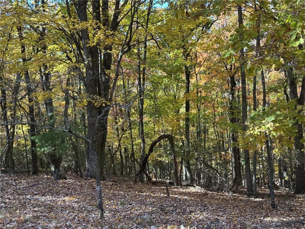 Unimproved Land at 00 Balls Mill Road, North Wilkesboro NC 28659, North Wilkesboro, photo 3 of 21