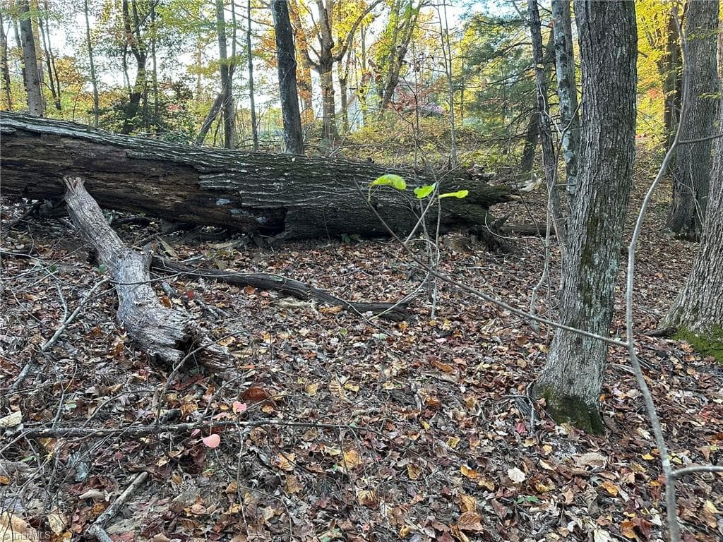 Unimproved Land at 00 Balls Mill Road, North Wilkesboro NC 28659, North Wilkesboro, photo 5 of 21