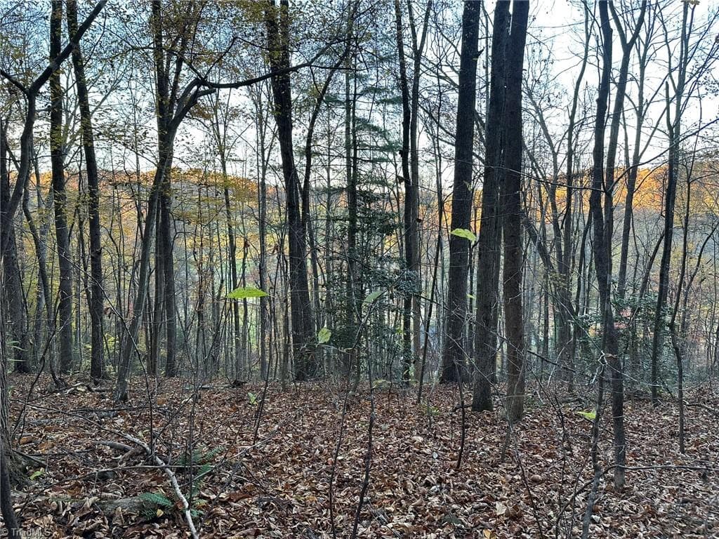 Unimproved Land at 00 Balls Mill Road, North Wilkesboro NC 28659, North Wilkesboro, photo 9 of 21