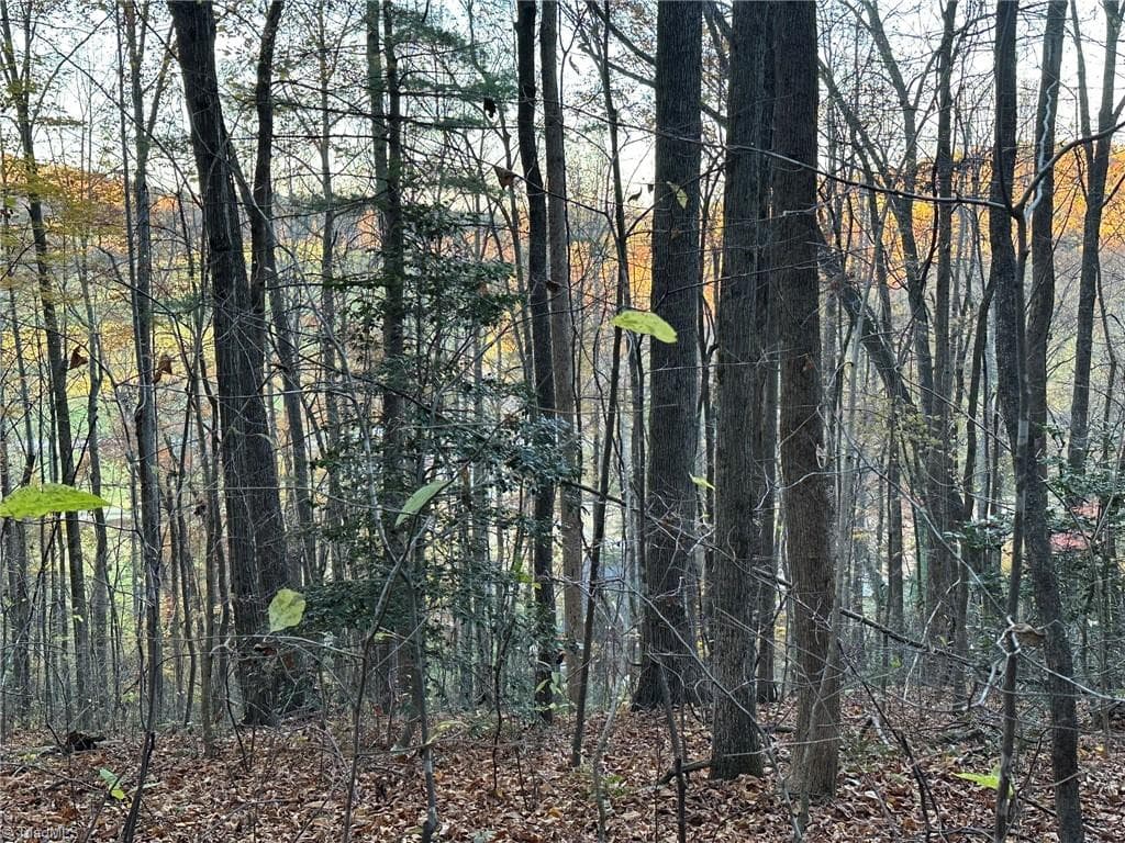Unimproved Land at 00 Balls Mill Road, North Wilkesboro NC 28659, North Wilkesboro, photo 10 of 21