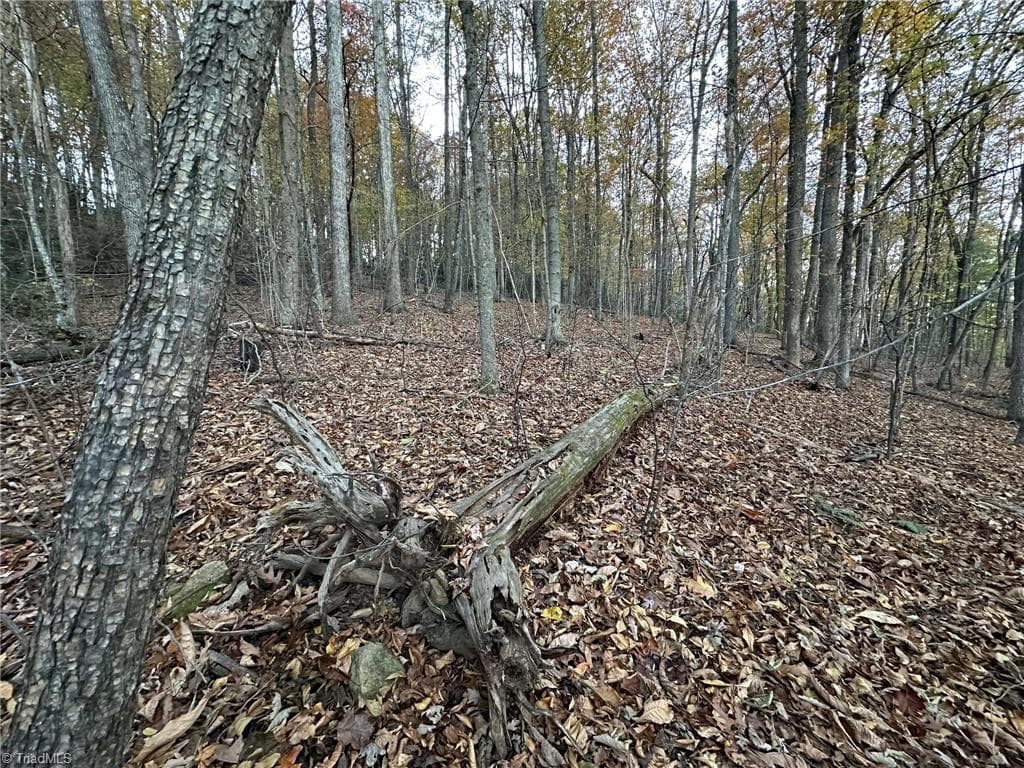 Unimproved Land at 00 Balls Mill Road, North Wilkesboro NC 28659, North Wilkesboro, photo 14 of 21
