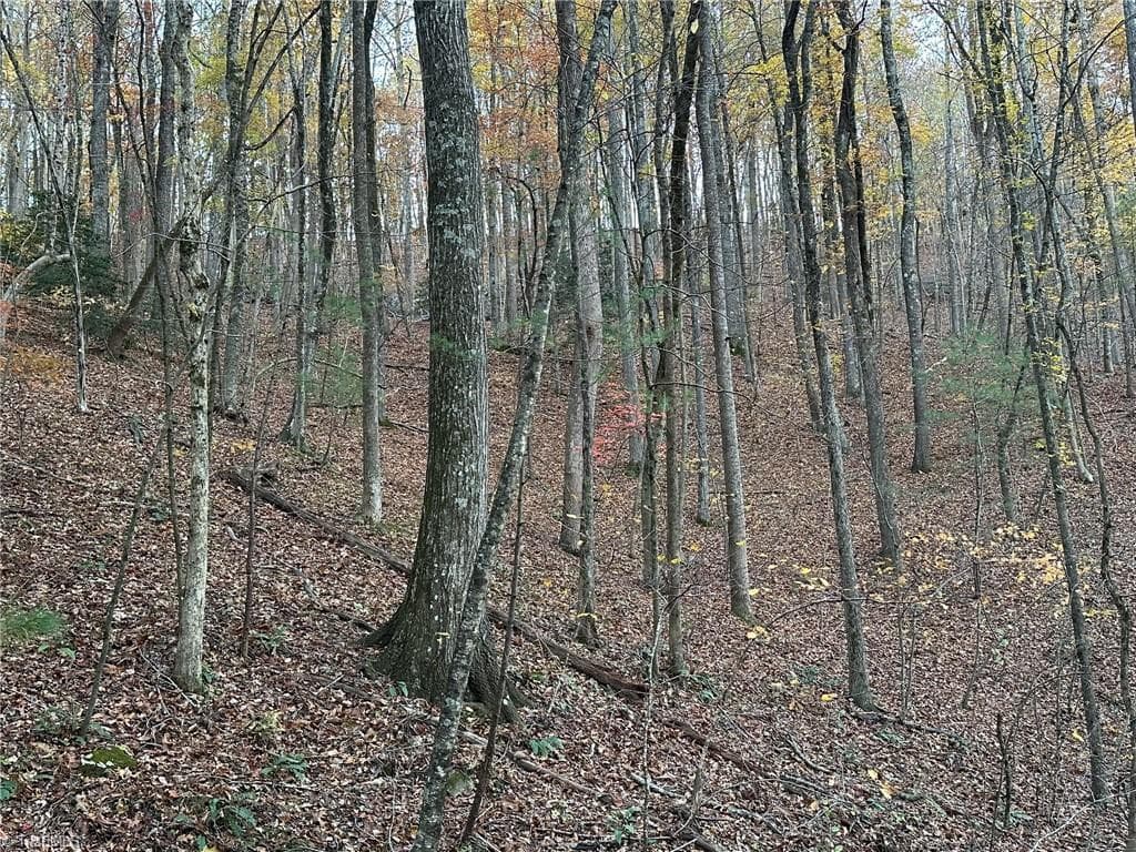 Unimproved Land at 00 Balls Mill Road, North Wilkesboro NC 28659, North Wilkesboro, photo 18 of 21