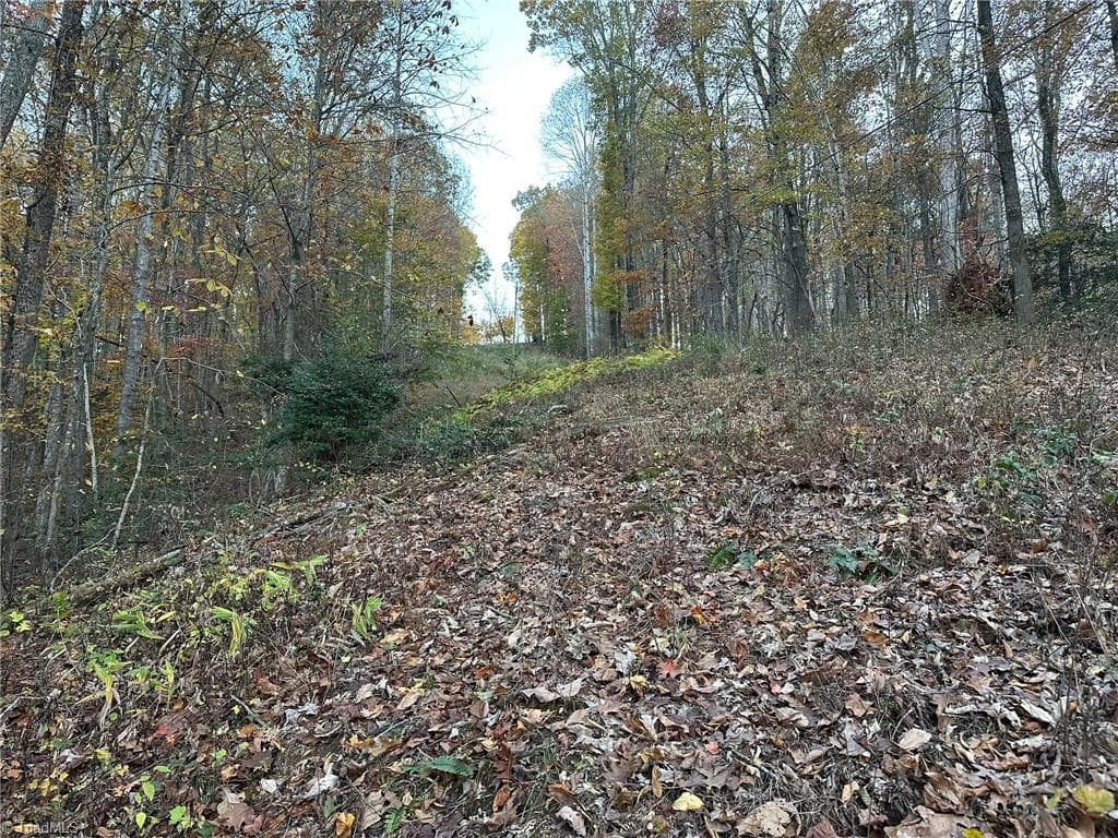 Unimproved Land at 00 Balls Mill Road, North Wilkesboro NC 28659, North Wilkesboro, photo 15 of 21