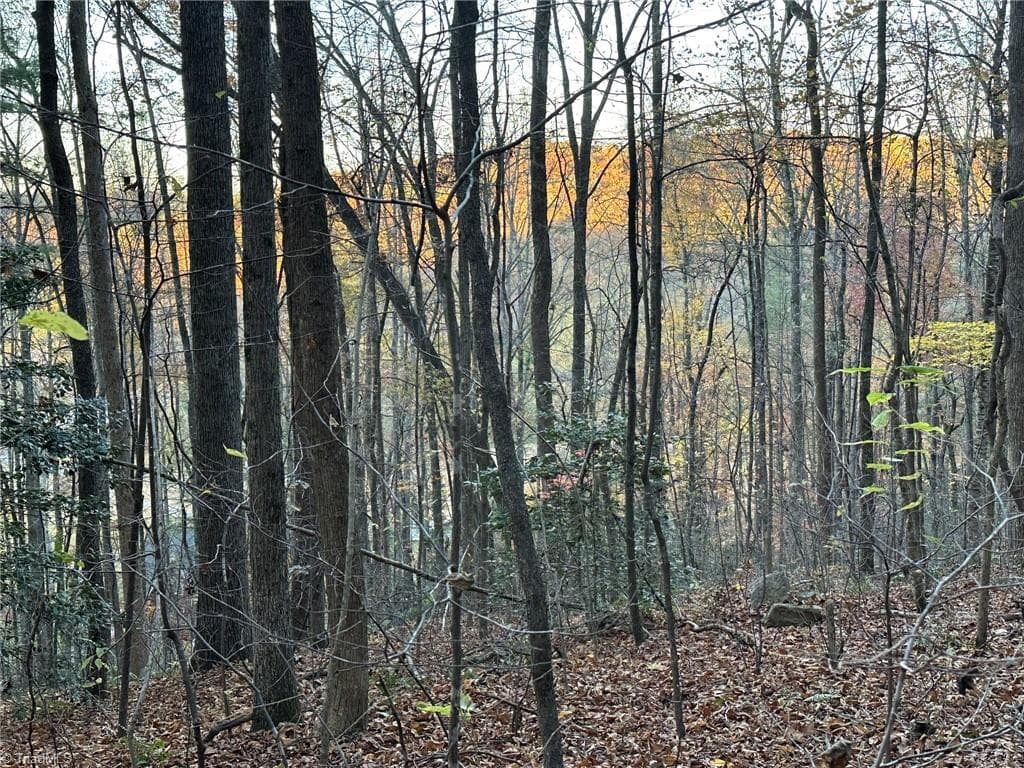 Unimproved Land at 00 Balls Mill Road, North Wilkesboro NC 28659, North Wilkesboro, photo 11 of 21