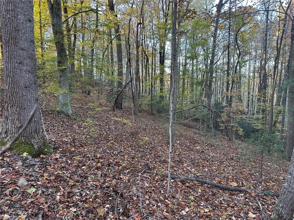 Unimproved Land at 00 Balls Mill Road, North Wilkesboro NC 28659, North Wilkesboro, photo 4 of 21