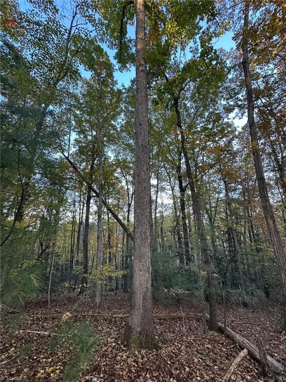 Unimproved Land at 00 Balls Mill Road, North Wilkesboro NC 28659, North Wilkesboro, photo 8 of 21