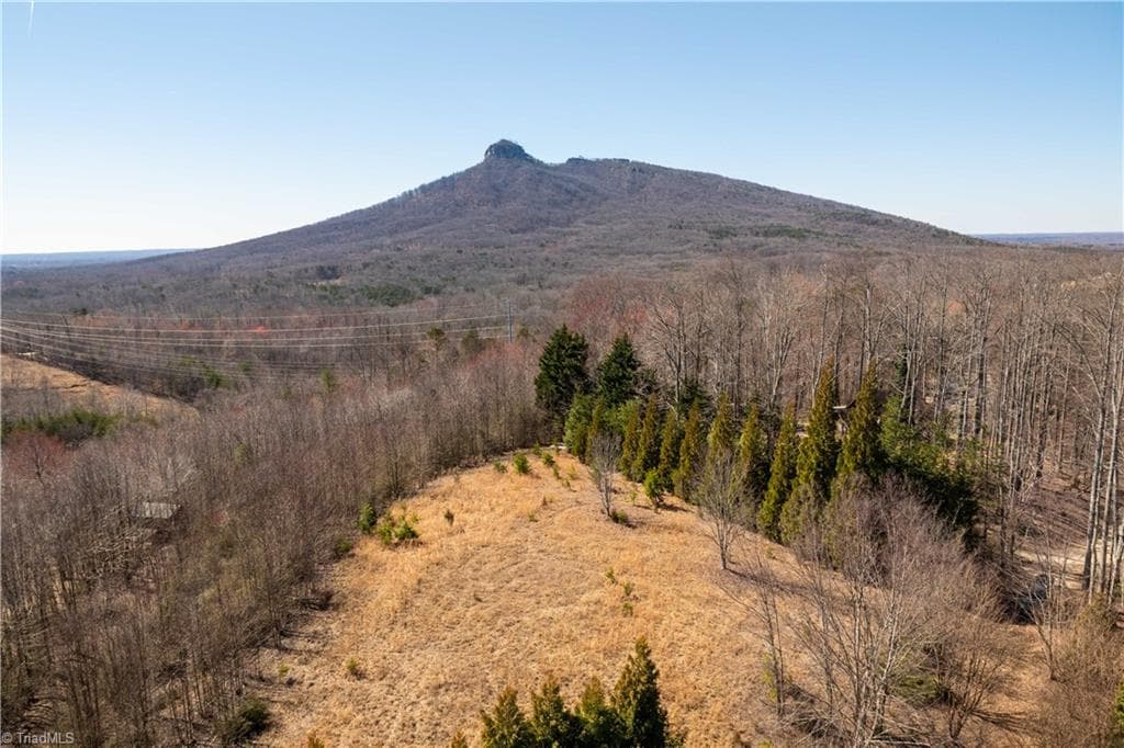 Single Family Residence at 222 Hummingbird Lane, Pilot Mountain NC 27041, photo 2 of 33