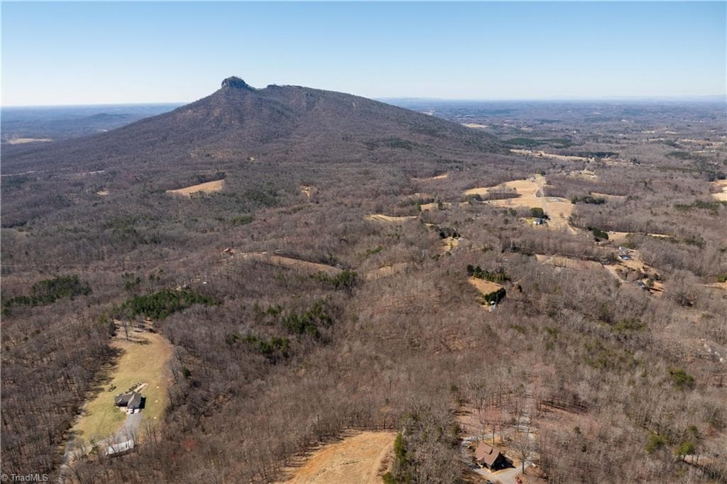 Single Family Residence at 222 Hummingbird Lane, Pilot Mountain NC 27041, photo 6 of 33