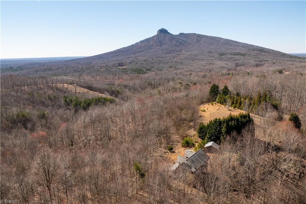 Single Family Residence at 222 Hummingbird Lane, Pilot Mountain NC 27041, photo 5 of 33