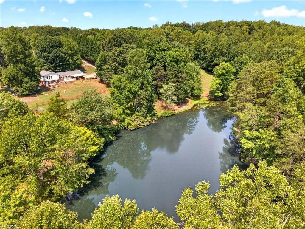 Another view of the pond and home. - 8546 Hudson-James Road, Summerfield NC 27358, Summerfield