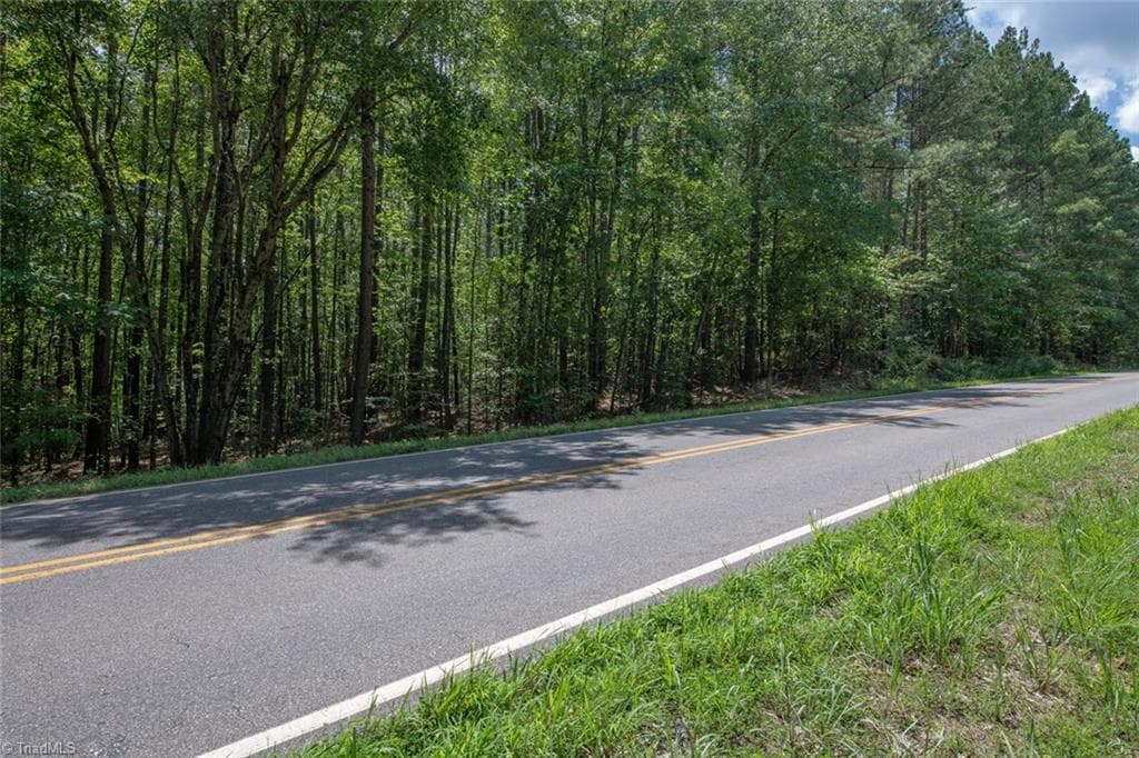Unimproved Land at 8942 Spearman Road, Reidsville NC 27320, Reidsville, photo 53 of 100