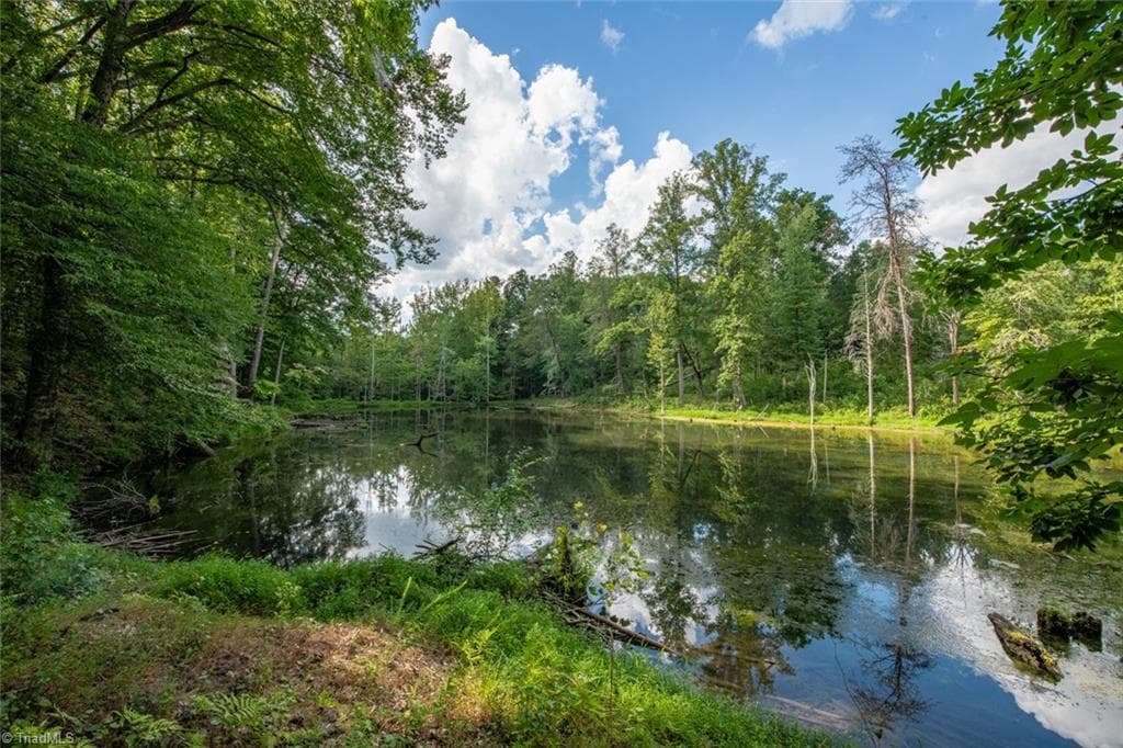 Unimproved Land at 8942 Spearman Road, Reidsville NC 27320, Reidsville, photo 11 of 100