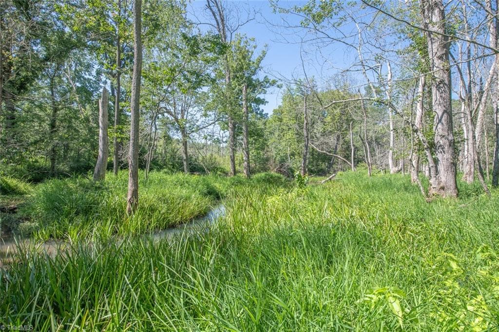 Unimproved Land at 8942 Spearman Road, Reidsville NC 27320, Reidsville, photo 91 of 100
