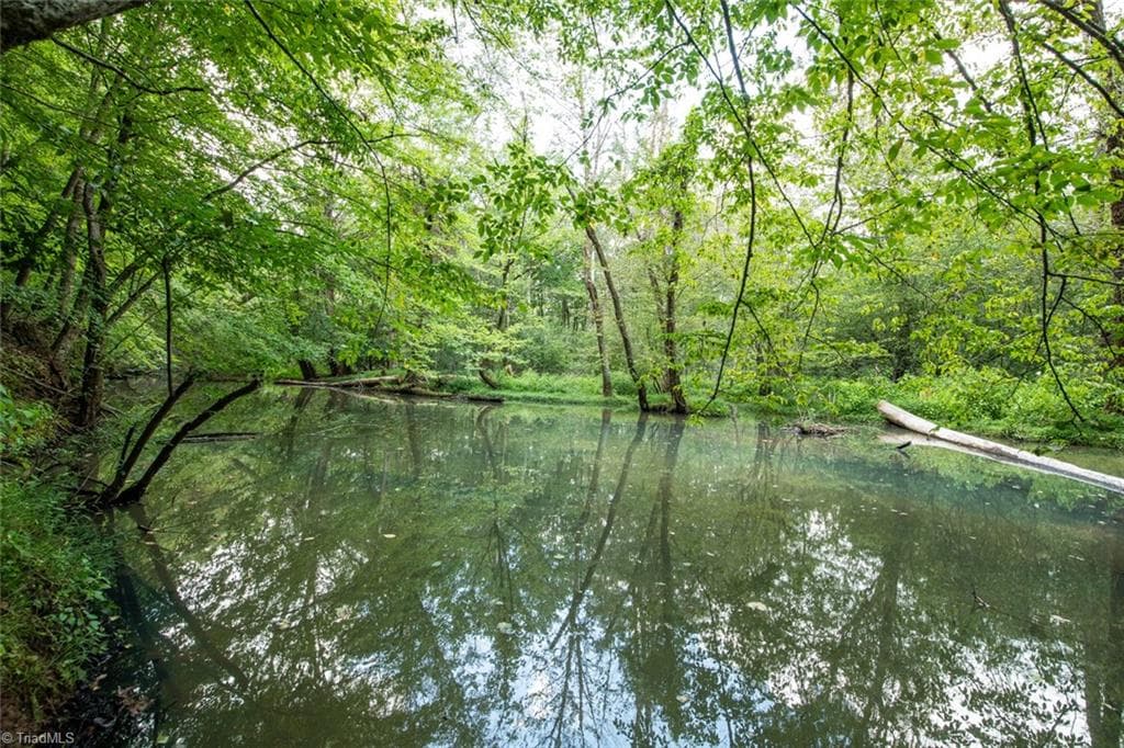 Unimproved Land at 8942 Spearman Road, Reidsville NC 27320, Reidsville, photo 33 of 100