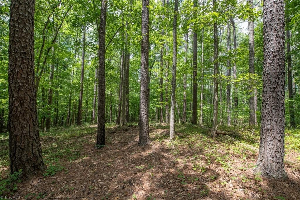 Unimproved Land at 8942 Spearman Road, Reidsville NC 27320, Reidsville, photo 31 of 100