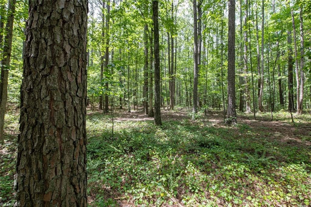 Unimproved Land at 8942 Spearman Road, Reidsville NC 27320, Reidsville, photo 23 of 100