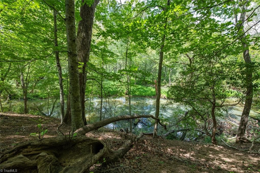 Unimproved Land at 8942 Spearman Road, Reidsville NC 27320, Reidsville, photo 51 of 100