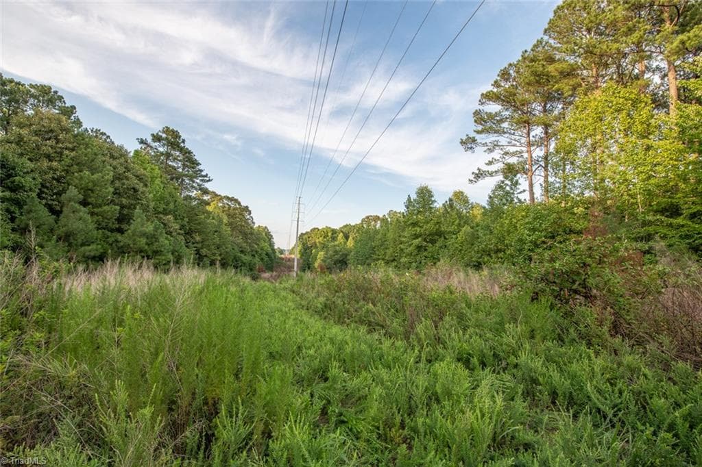 Unimproved Land at 8942 Spearman Road, Reidsville NC 27320, Reidsville, photo 13 of 100