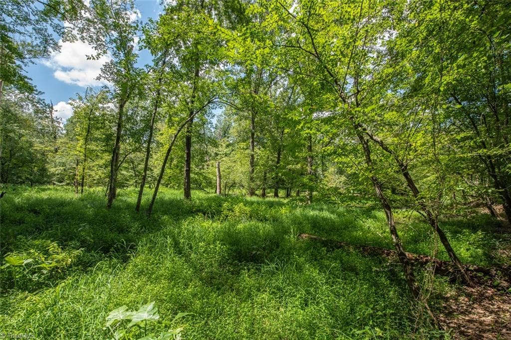 Unimproved Land at 8942 Spearman Road, Reidsville NC 27320, Reidsville, photo 71 of 100
