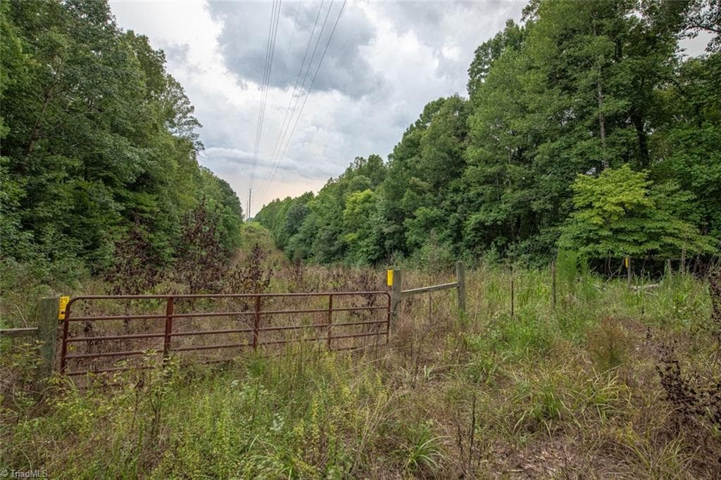 Unimproved Land at 8942 Spearman Road, Reidsville NC 27320, Reidsville, photo 63 of 100