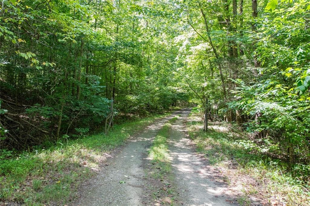 Unimproved Land at 8942 Spearman Road, Reidsville NC 27320, Reidsville, photo 55 of 100