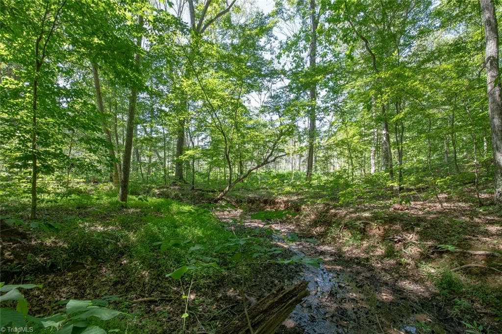 Unimproved Land at 8942 Spearman Road, Reidsville NC 27320, Reidsville, photo 39 of 100