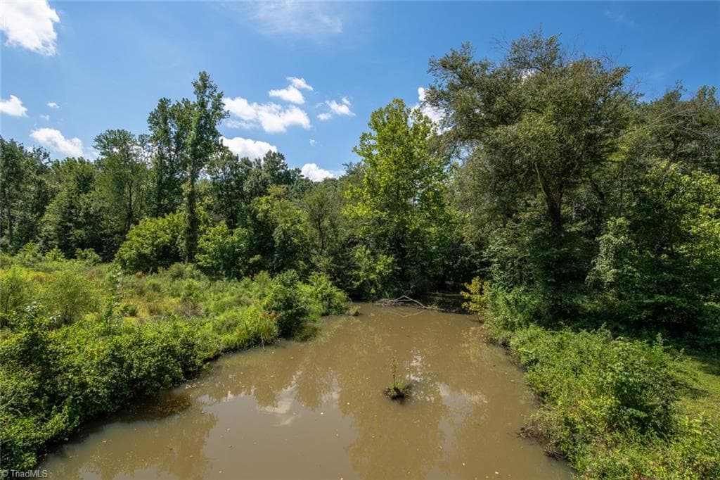 Unimproved Land at 8942 Spearman Road, Reidsville NC 27320, Reidsville, photo 47 of 100