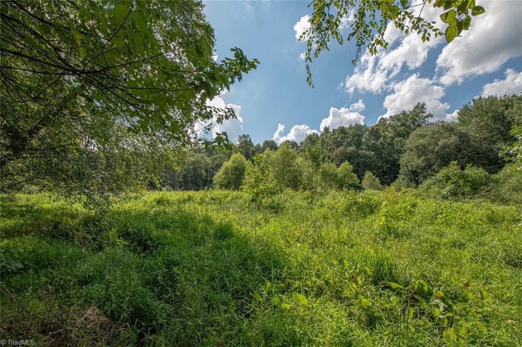 Unimproved Land at 8942 Spearman Road, Reidsville NC 27320, Reidsville, photo 59 of 100