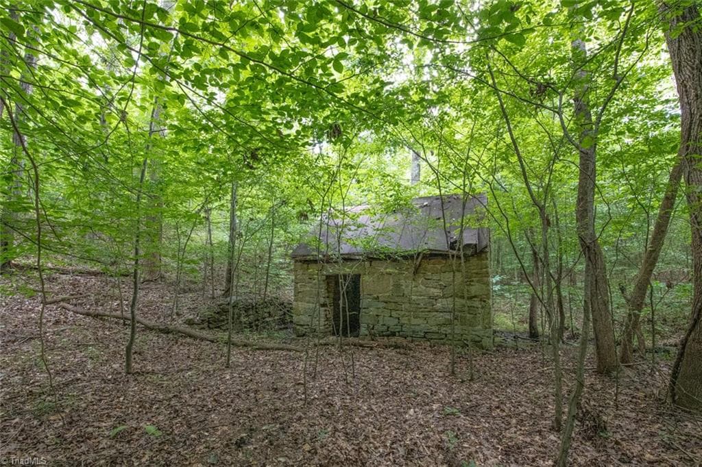 Unimproved Land at 8942 Spearman Road, Reidsville NC 27320, Reidsville, photo 67 of 100