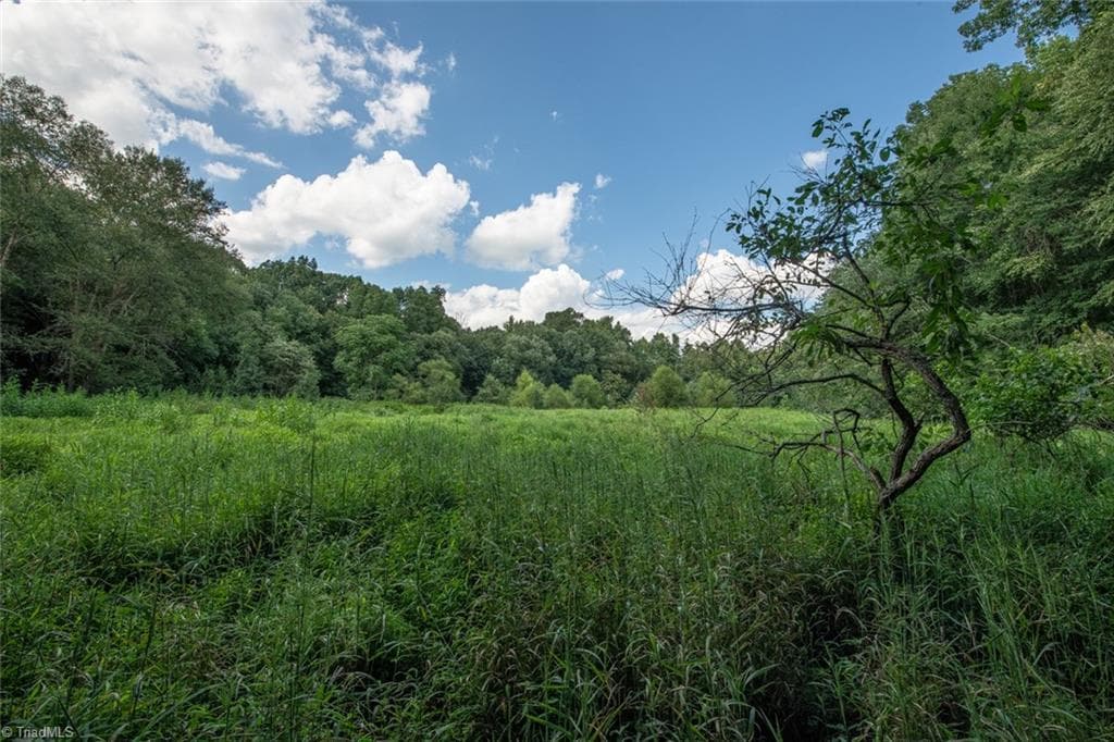 Unimproved Land at 8942 Spearman Road, Reidsville NC 27320, Reidsville, photo 75 of 100