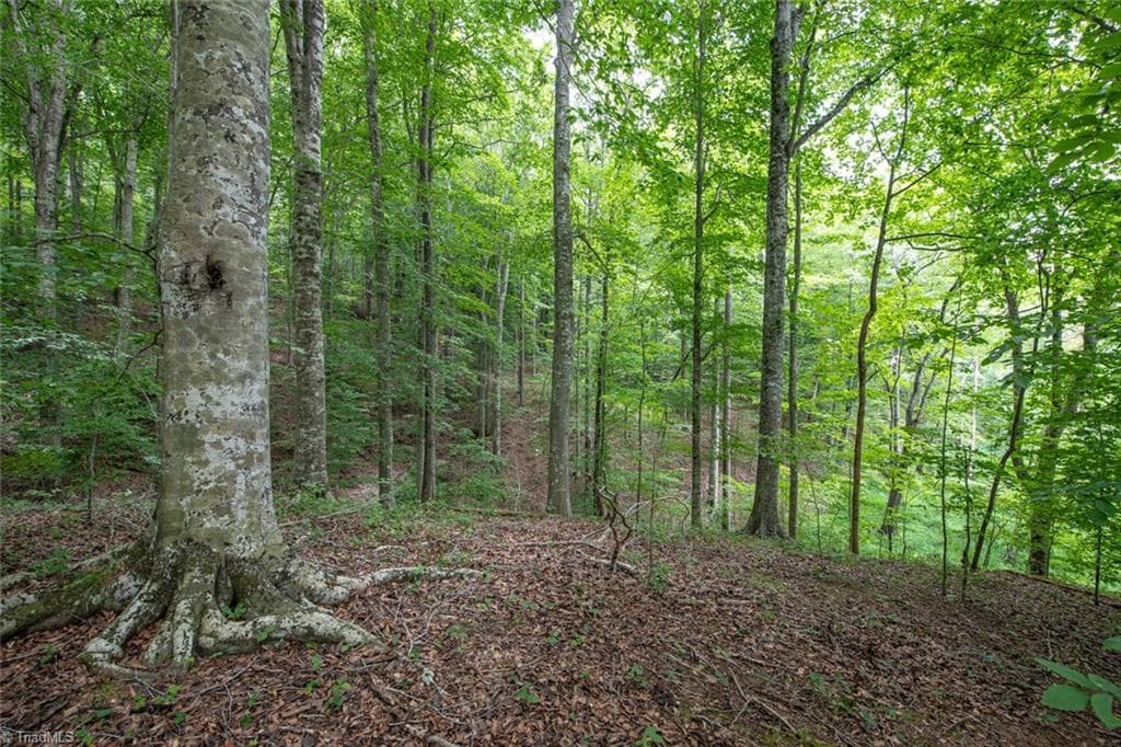 Unimproved Land at 8942 Spearman Road, Reidsville NC 27320, Reidsville, photo 19 of 100
