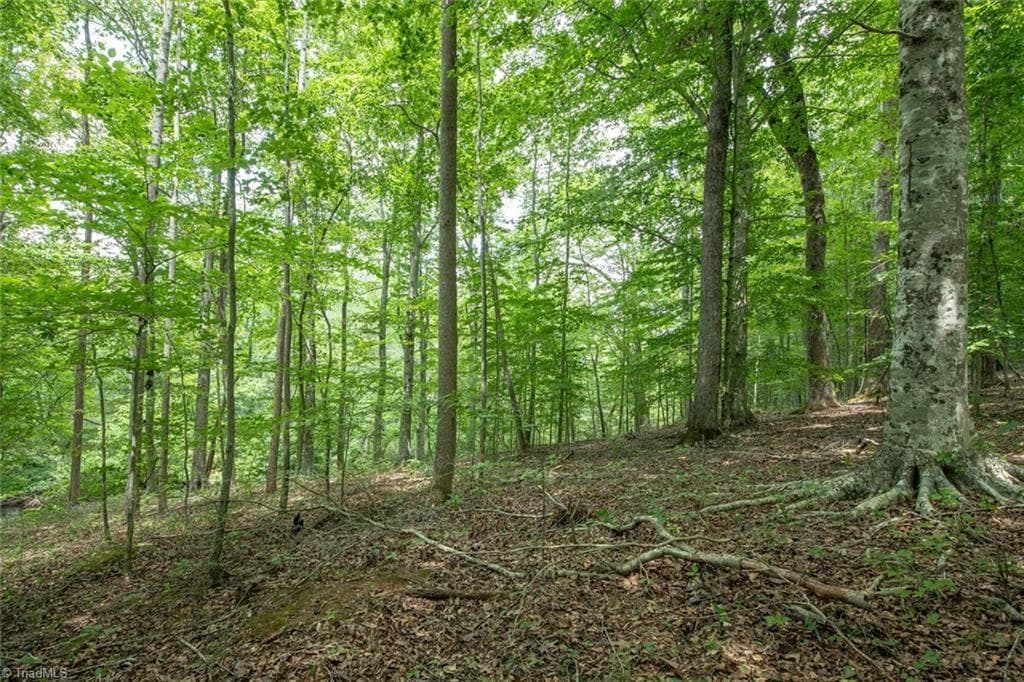 Unimproved Land at 8942 Spearman Road, Reidsville NC 27320, Reidsville, photo 97 of 100